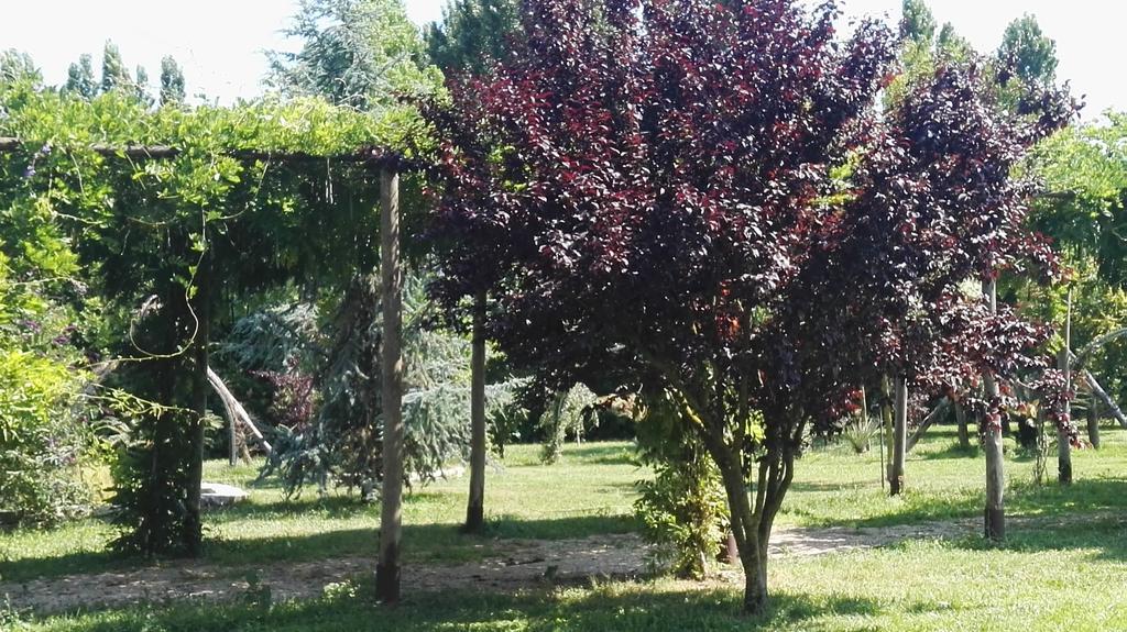 Sezze Tenuta Le Pantanelle 빌라 외부 사진