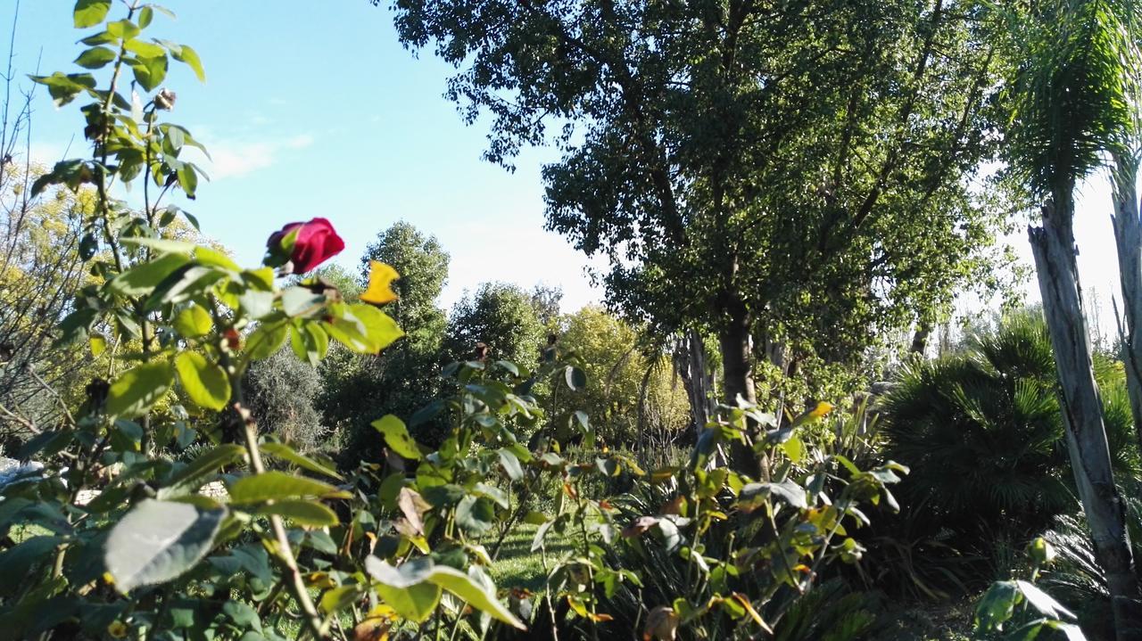 Sezze Tenuta Le Pantanelle 빌라 외부 사진